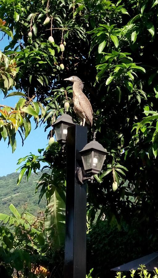 Amy Walker B&B ไท่หมาหลี่ ภายนอก รูปภาพ